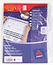 5113081 - Avery Zweckform Etikettenregister 10-teilig, A4, transparent
