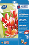 2480-10 - Avery Zweckform Premium Inkjet Photo Papier hochglänzend A3 250g