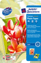 2555 - Avery Zweckform Premium Inkjet Photopapier, A4, 250 g