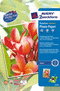 2556 - Avery Zweckform Premium Inkjet Photopapier, A4, 250 g
