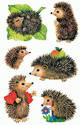 ZD-4306 - Z-Design Sticker Igel