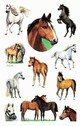 ZD-53483 - Z-Design Sticker beglimmert, Pferde