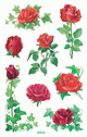 ZD-54261 - Z-Design Sticker Rosen Efeu