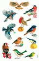 ZD-55713 - Z-Design Sticker Vögel