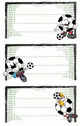 ZD-59290 - Z-Design Buchetiketten aus beschriftbarem Papier Fußball