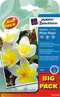 C2453-60 - Avery Zweckform Premium Inkjet Photopapier, 10x15cm, 250 g