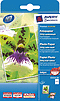C2552-50 - Avery Zweckform Premium Inkjet Photopapier, 10x15cm, 250 g