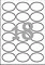 C6079-10 - Avery Zweckform Etiketten 63,5x42,3 mm, 10 Bögen, oval, glänzend