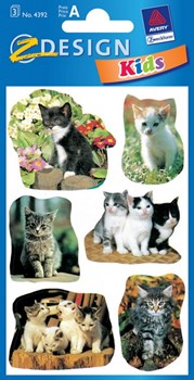 Z-Design 4392, Kids - Sticker aus bunt bedrucktem Papier für Kids Motiv Katzenfotos, 3 Bögen