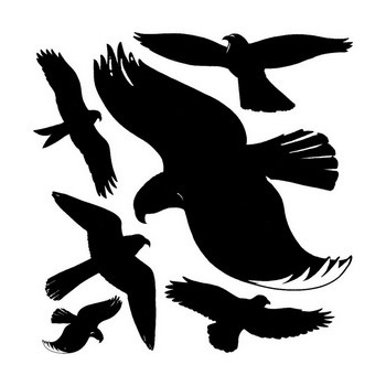 Z-Design 4485, Home - Warnvögel, wetterfeste Fensterfolie,schwarz, 1 Bogen