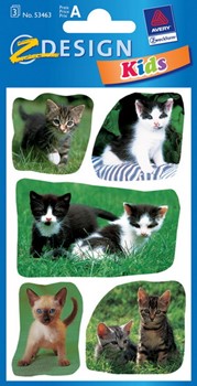 Z-Design 53463, Kids - Sticker aus bunt bedrucktem Papier für Kids Motiv Katzenbabys, 3 Bögen