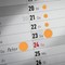 3173 Detailbild